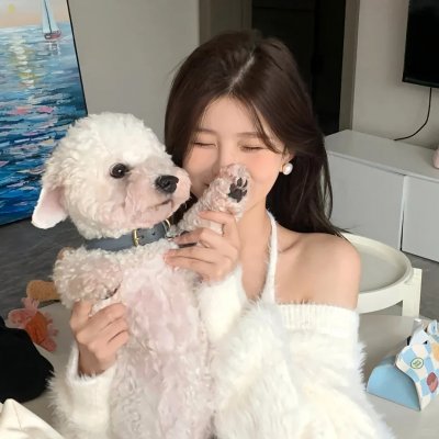 超次元对决
